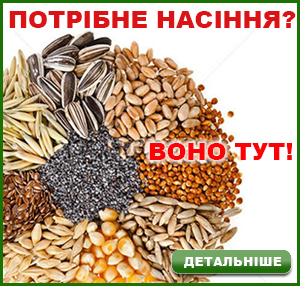 Nasinnja_300__286